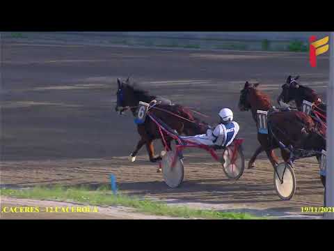 IV Corsa del 19 novembre 2021 - 3 Anni - Metri 1600