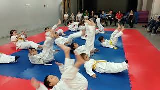 Exhibición Judo
