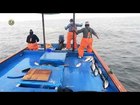 Immerse yourself in the excitement of deep sea fishing with these intrepid fishermen!