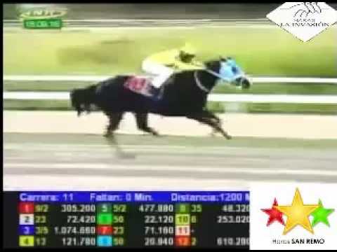 LA RINCONADA 11 CARRERA, DOMINGO 18 DE SEPTIEMBRE DEL 2016