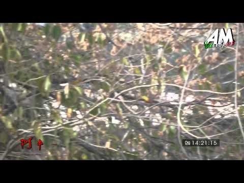 Gandolfo   Ruecker PSG 1° Rally Day Centro Sicilia HD