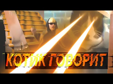Video thumbnail for Котик говорит (Kitty Says)
