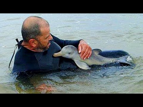 Rien n'est comparable à l'amour pur entre les animaux et les humains !