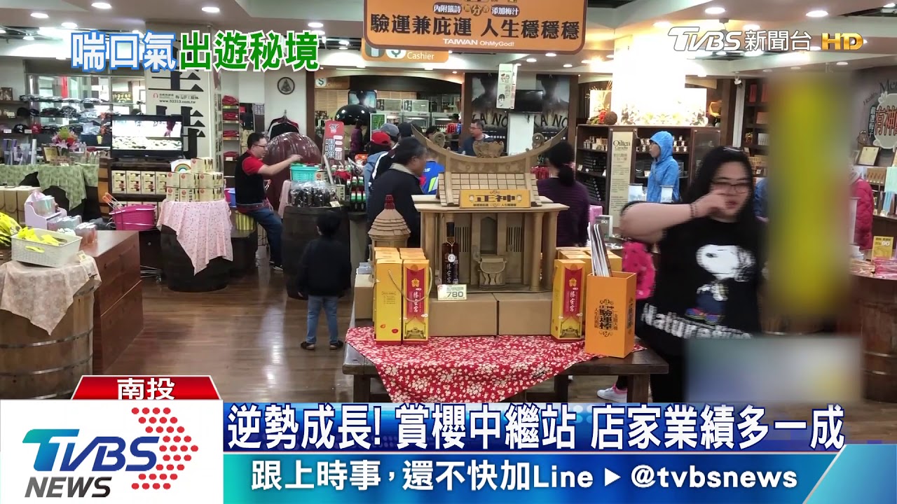 櫻花遍布南投山頭 吸引大批遊客賞美景
