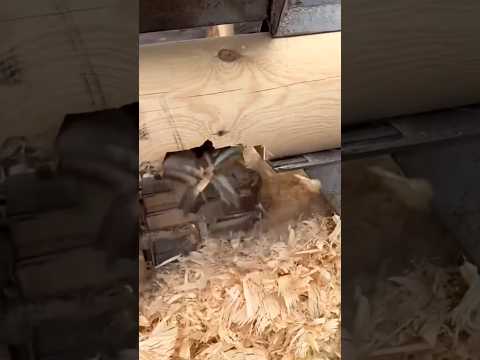 #machinery #tooltips #satisfying #machine #factory #shorts #youtubeshorts #machinewonders #5848