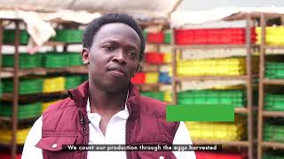 Zihanga Limited