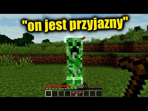 typical minecraft survival guide