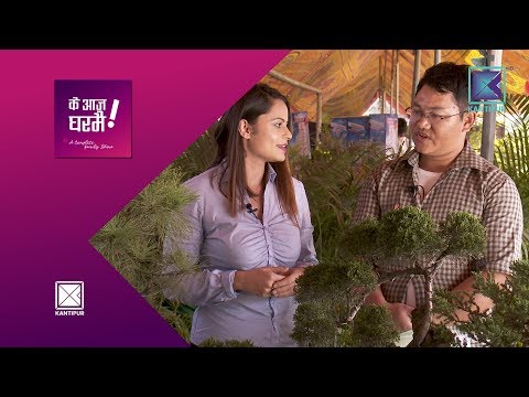 Bonsai Farming | Ke Aaja Ghar Mai - 18 May 2018