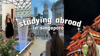 exploring singapore on exchange ⋆ 𐙚 ˚. | changi airport, night safari, & singaporean food adventures
