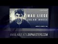 Loopmasters Max Liese - Solar House - Classic House Loops Samples Part 2