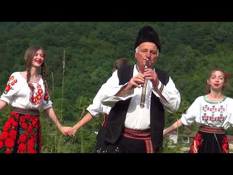 Ljeganat ši pi pićor - Vitomir Stanojević & Čarobnjaci