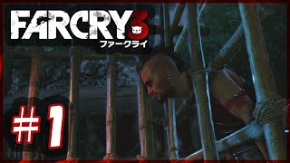 #1【FPS】のんびりまったりFarCry3【ファークライ3】