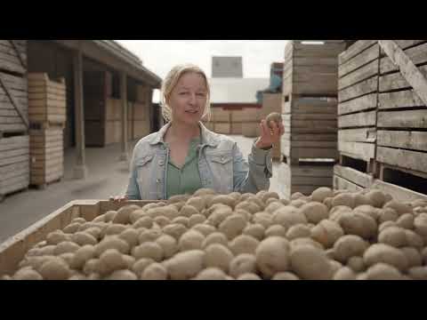 Sundsvall på 1800-talet