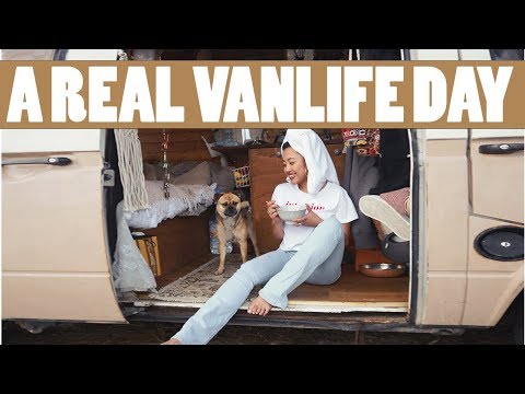 download lagu mp3 mp4 Single Van Life, download lagu Single Van Life gratis, unduh video klip Single Van Life