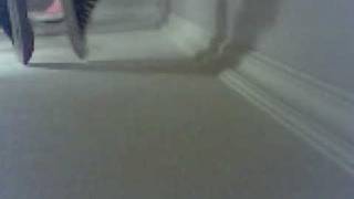 walking on the ceiling