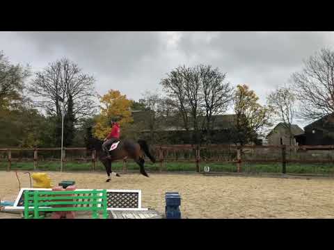 OBOS quality x Malstriker