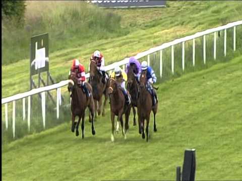 Galopprennbahn Dresden - 30.05.2015 - 5.Rennen