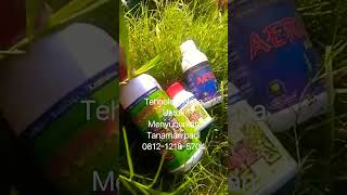 Download lagu RAHASIA PADI SUBUR DAN BEBAS PENYAKIT PAKAI NASA mp3