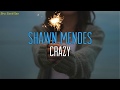 Shawn Mendes - Crazy (Lyrics)