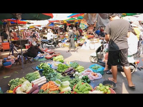 Amazing ! Cambodian Routine Fresh Market Food - Lotus Root, Fish, Corn, Shrimp, Prawn, Fruit & More
