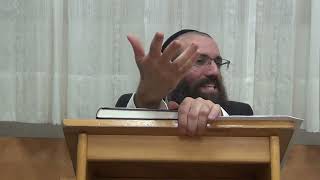 מבוא - הקדמות חשבות לחכמת הקבלה | אוצרות חיים המבואר למתחילים | שיעורי כולל מקדש מלך - 1