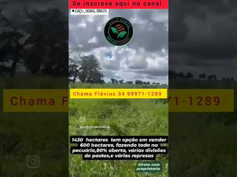 Maravilhosa fazenda a venda em Caçula GO #brasil #agro #fazenda #gado #caçugo