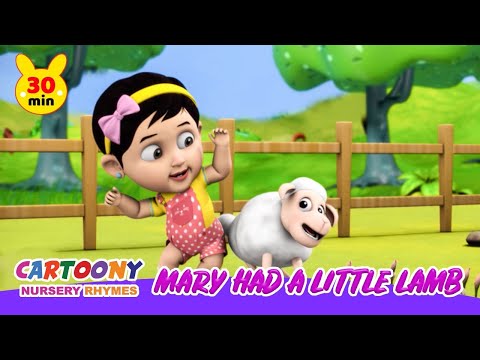 Mary Had A Little Lamb More Cartoony Nursery Rhymes & Kids Songs 2020 | Kids Learning Rhymes Video