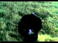 Memories Of Murder