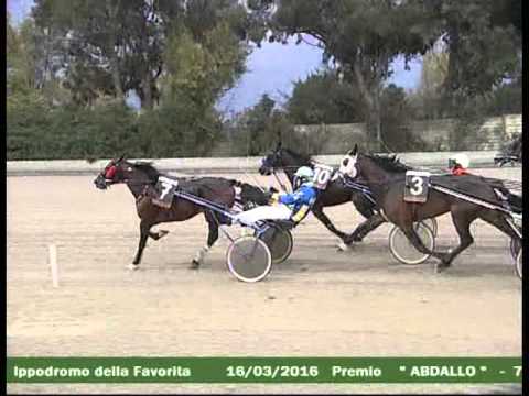 7° CORSA  del 16 MARZO 2016