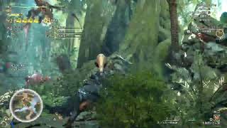 [MHWs#4]今日も張りきってストーリー進めちゃうよ～✨