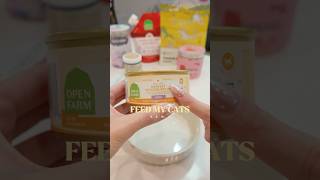 feed my cats asmr 🎧✨ #cat #enrichment #catfood #pets #petfood #cute #petcare