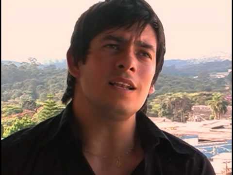 Andorinha Mensageira video