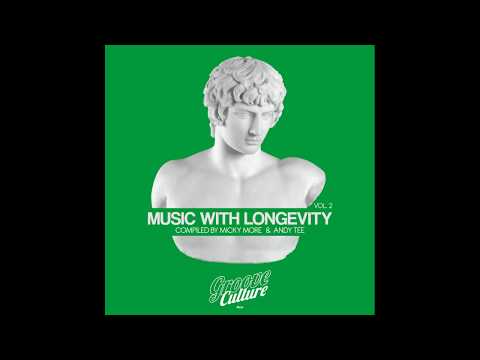 Groove Junkies - Catch Your Shine (GJ 2020 Re-Touch)