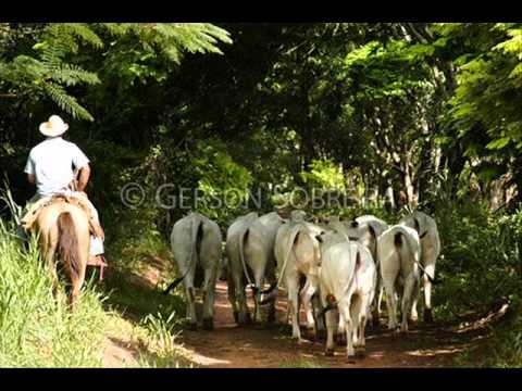 Cidade Grande - Teodoro e Sampaio
