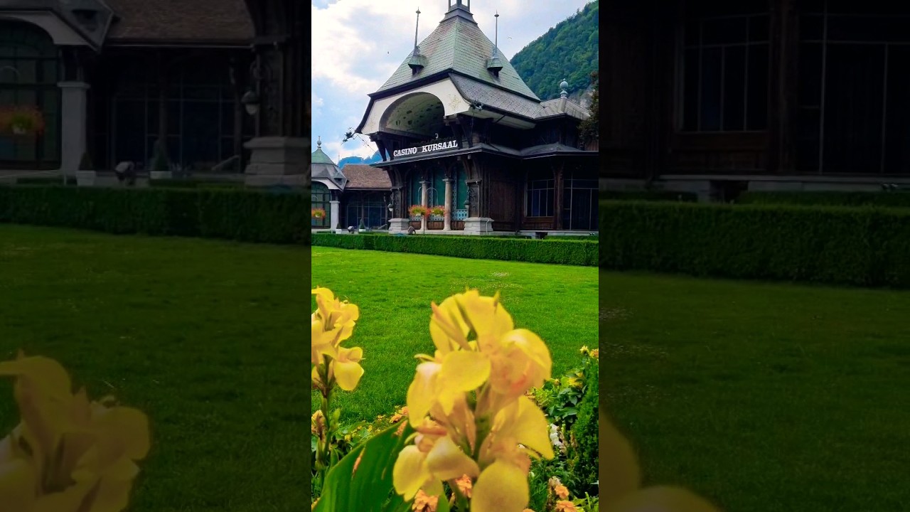 YouTube Short thumbnail