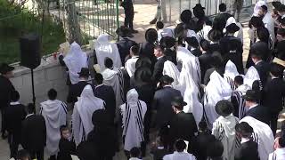 17שבטים תפילה - מהפכה בשערי הר הבית: התעוררות היסטורית בחג המצות תשפ
