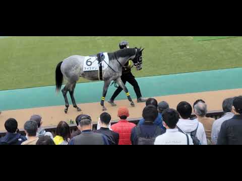 2022/11/05 東京8R アイスマン パドック、返し馬の様子