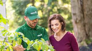Why Work With An Accredited & Licensed Tree Care Company