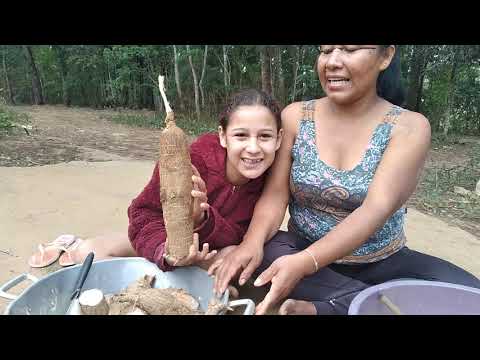 Falando sobre o Cauim