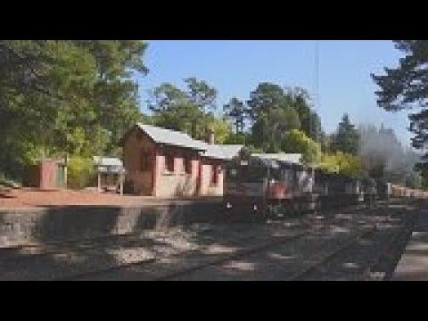SCT 6GA1 with CF locos GL107 and VL351 and 5PM9 hauling GL107 14th and 15th March 2020