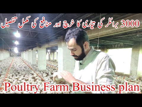 Broiler Chicken Farming Profitability in Pakistan