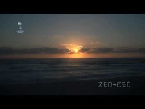 ZEN-MEN - Sleep-In_201(German Male) Medi-X