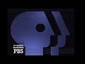 PBS 1989 1993 2004 Logo Had 3 Varients