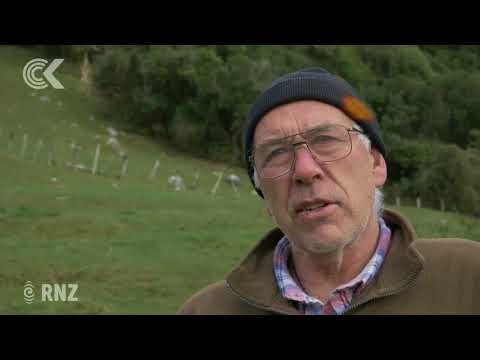download lagu mp3 mp4 Goat Shooting Nz, download lagu Goat Shooting Nz gratis, unduh video klip Goat Shooting Nz