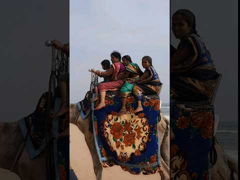 Camel Ride at Beach #viralshort #viral #camelride