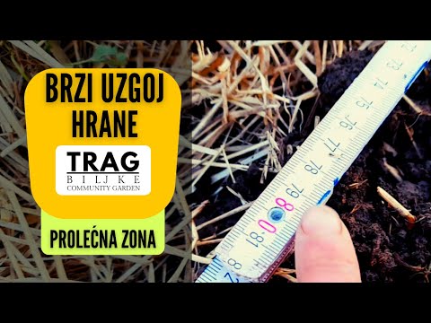 FAST GROWING OF FOOD - ANALYSIS 1