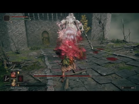 Killing Bosses with Scarlet Rot