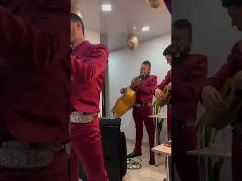 📞 321 371 9238 | Mariachis en Venecia Antioquia 🎺❤️