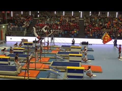 SMV 2017, TV Rüti ZH, Reck