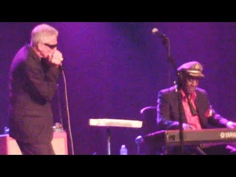 Rod Piazza & The Mighty Flyers - Come On In This House